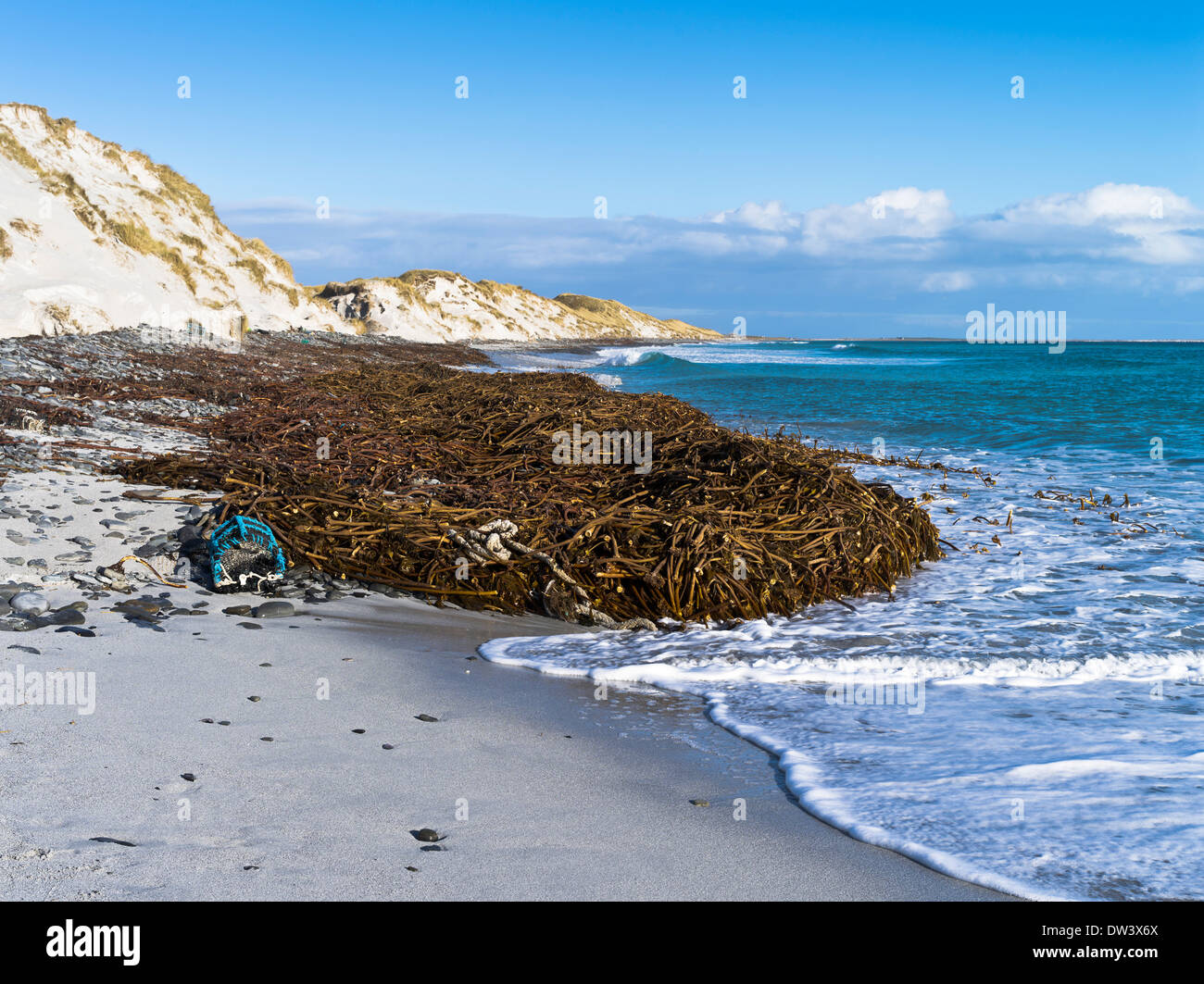 Dh Newark Bay SANDAY ORKNEY Kelp Strand creel und Sanddünen Algen Schottland Stockfoto