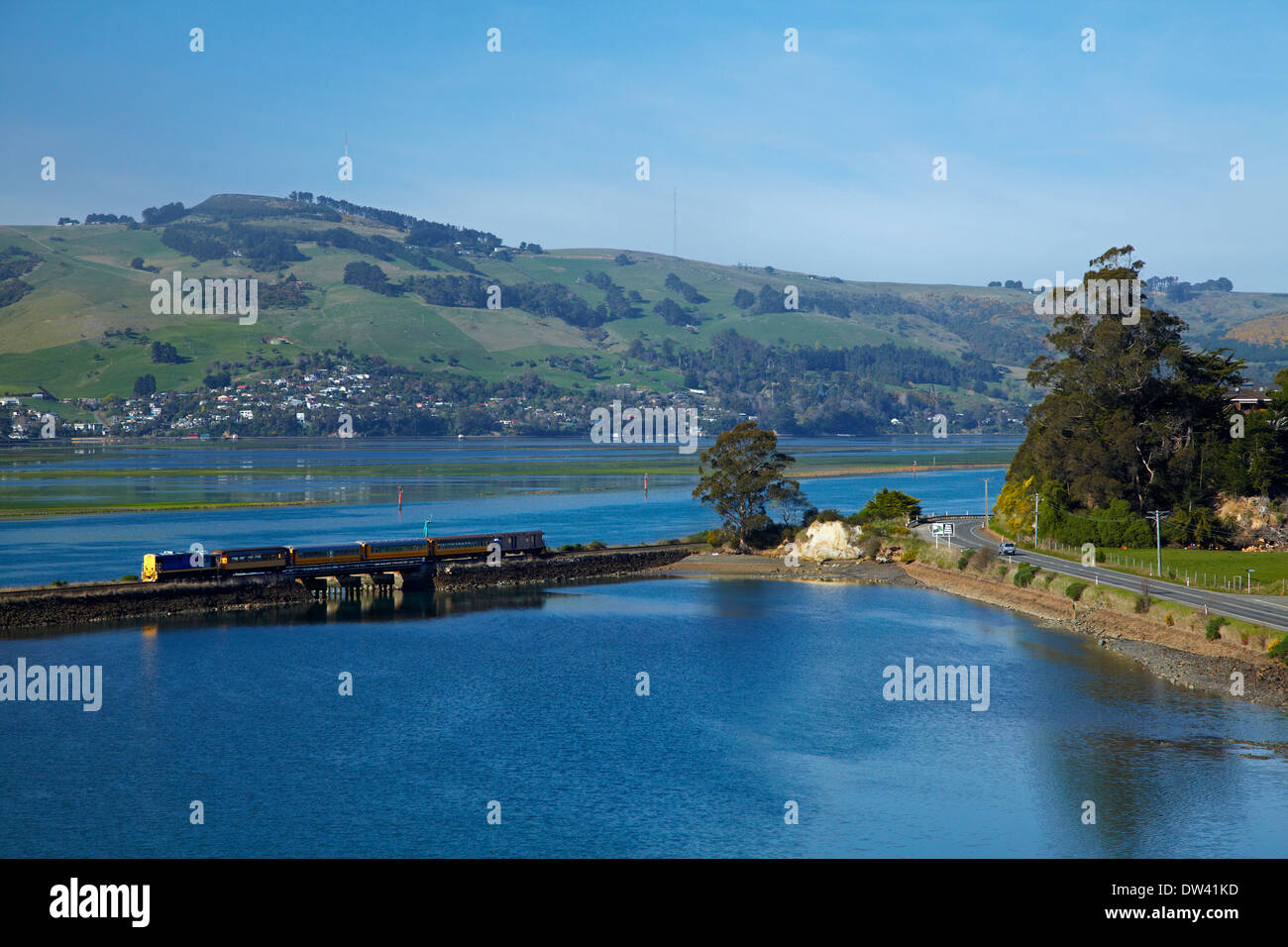 Taieri Gorge "Seasider" Zug, Blanket Bay, Otago Harbour und Otago Peninsula, Dunedin, Otago, Südinsel, Neuseeland Stockfoto