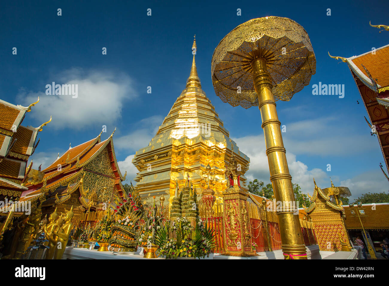 Goldene Chedi (Stupa) und Regenschirm im Tempel Wat Phra, die Doi Suthep, Chiang Mai, Thailand Stockfoto