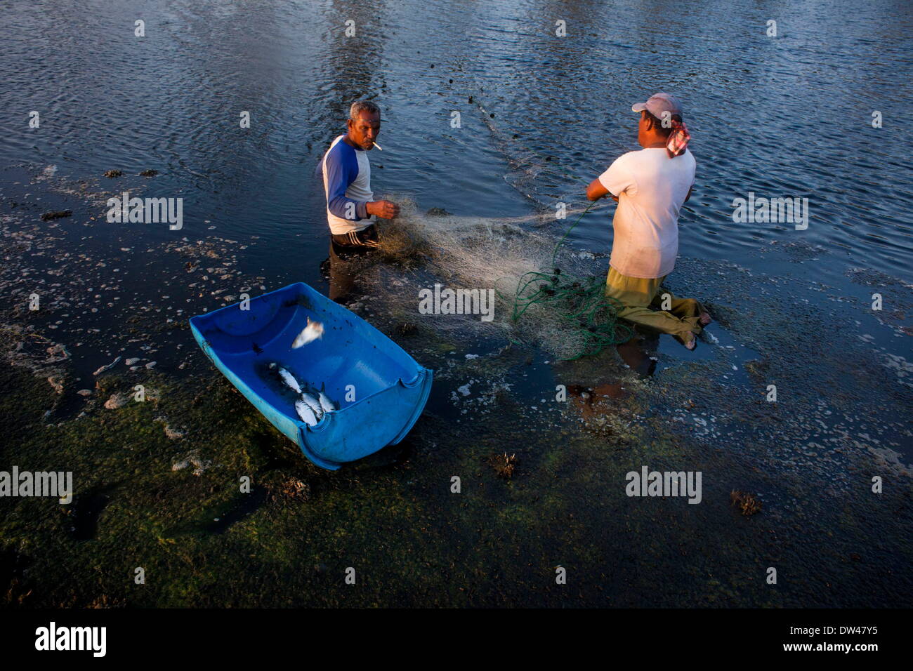 26. Februar 2014 - Netze Banda Aceh, Aceh, Indonesien - Männer Angeln mit bei einem Fischteich. Indonesiens Fischereiproduktion betrug 15,26 Millionen Tonnen im Jahr 2012, wobei wild Erfassung 5,81 Millionen Tonnen und Aquakultur für 9,45 Millionen Tonnen, nach dem Ministerium für Marine Angelegenheiten und Fischerei. UN Lebensmittel und Landwirtschaft (FAO) im Jahr 2011 rangiert Indonesien dritte in der Welt in Bezug auf binnen- und marine Fang sowie Viertens in Aquakultur Ausgabe. Fischerei-Exporte in den letzten Jahren stark gestiegen und erreichte 3,9 Milliarden US-Dollar im Jahr 2012, mit die meisten Sendungen in die USA Stockfoto