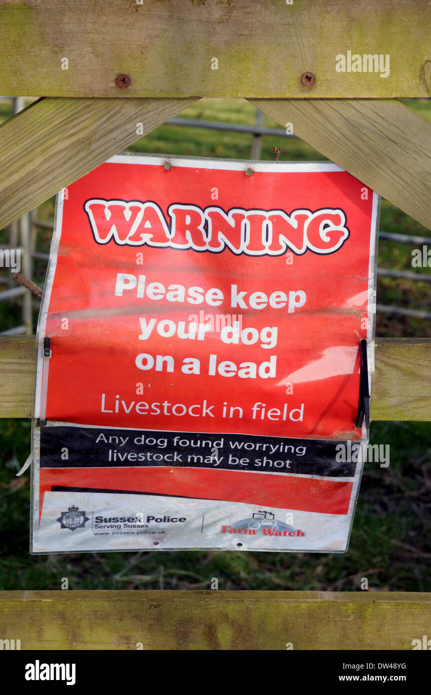 Warnsignal zu Hund Besitzer ihre Hunde unter Kontrolle zu halten und nicht zu Schafen und anderen Tieren zu sorgen. Stockfoto
