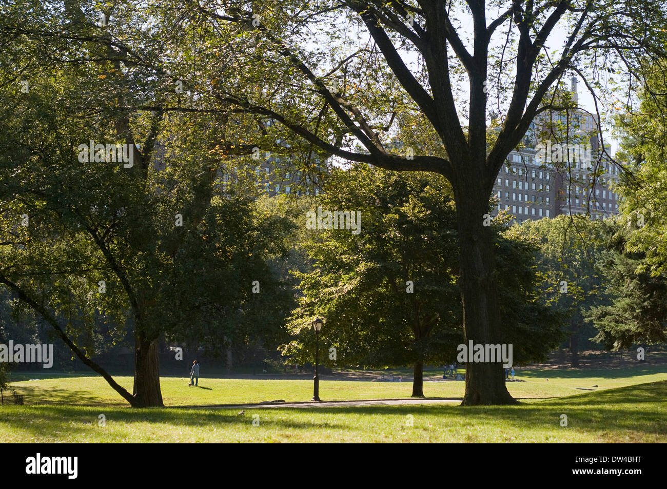 Sheep Meadow, Central Park, New York City im Frühling mit Blick auf die Skyline von Midtown