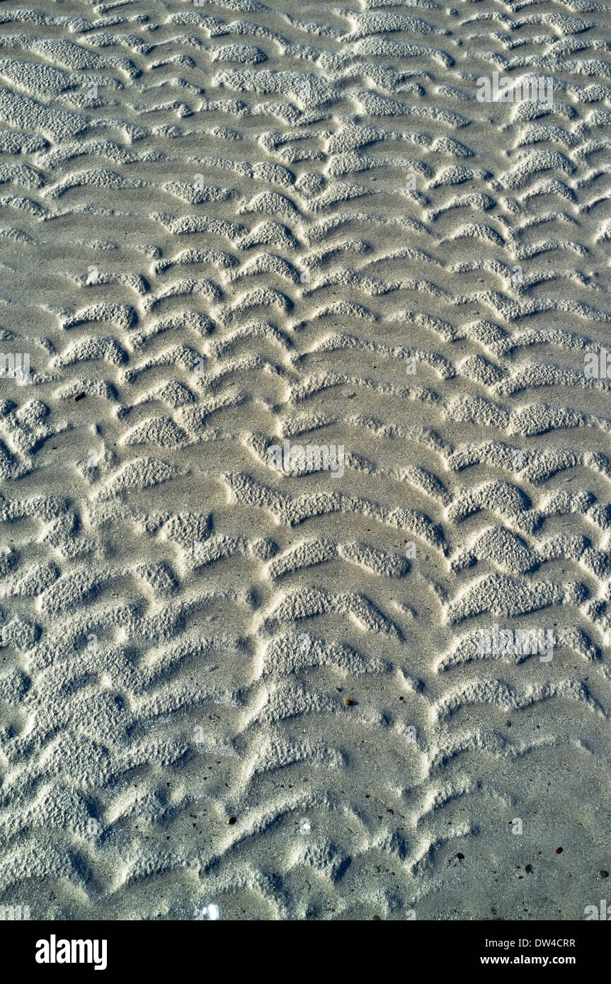 dh Sand Muster TEXTUR HINTERGRÜNDE HINTERGRUND MUSTER Abstrakte Ebbe Meeresboden zurück Tropfen aus nächster Nähe Stockfoto