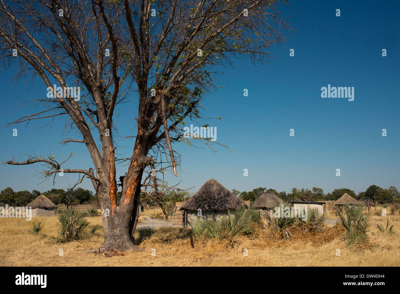 In der Nähe von Camp Eagle Island Camp von Orient-Express, außerhalb des Moremi Game Reserve in Botswana gibt es ein Lager wo Stockfoto