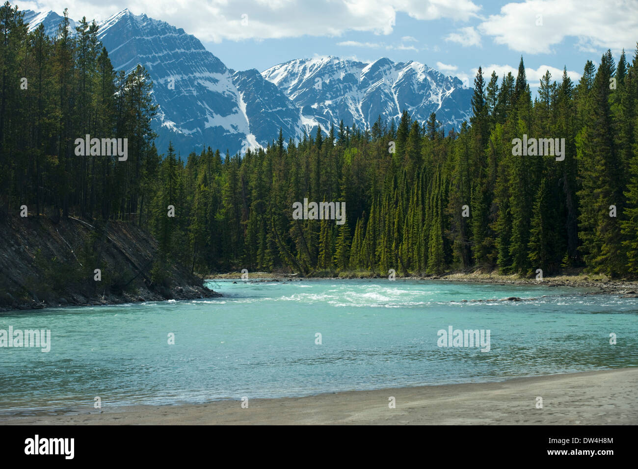 BOW RIVER BANFF-JASPER NATIONALPARK ALBERTA KANADA Stockfoto