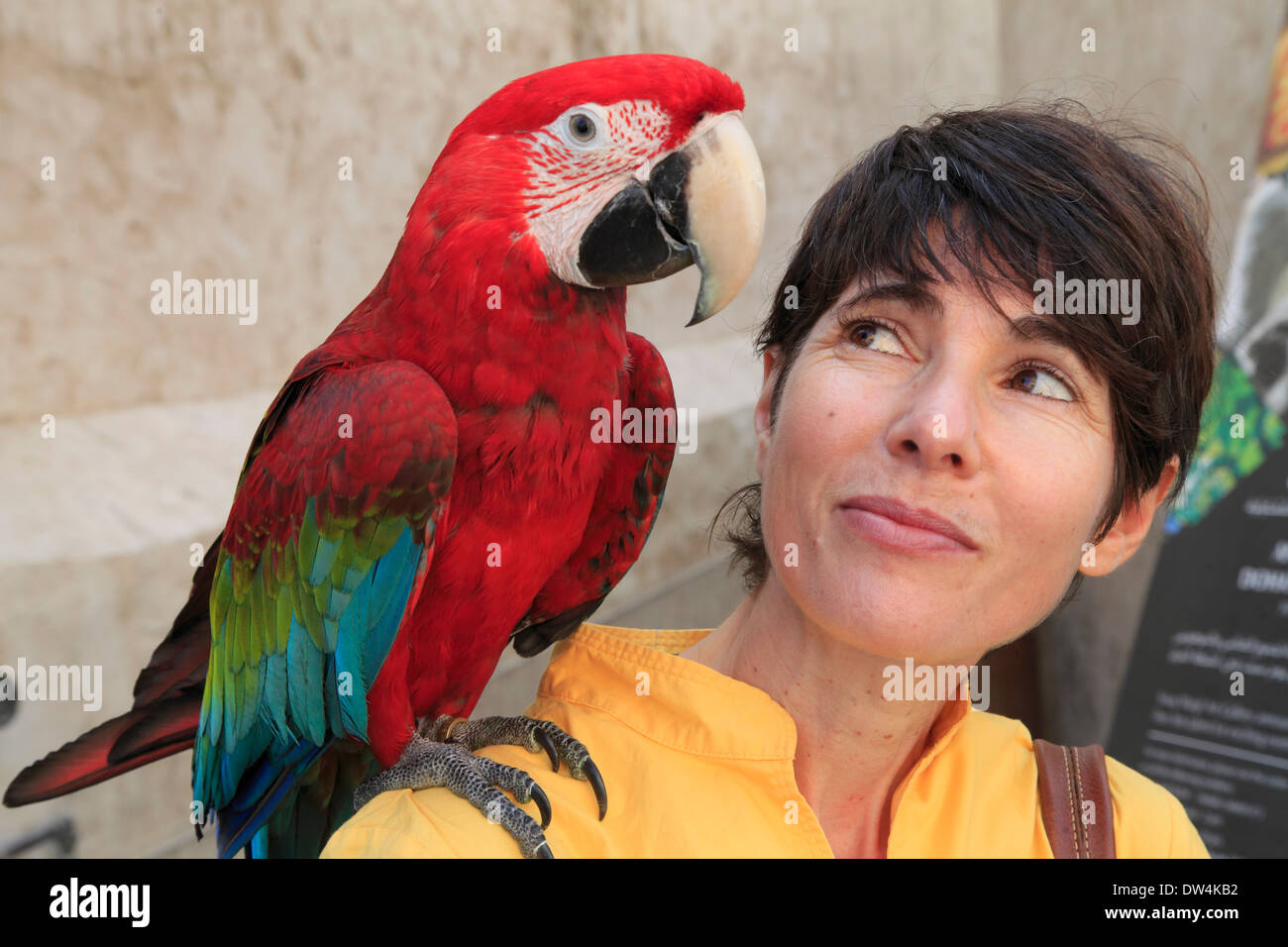 Katar, Doha, Souq Waqif, Vogelmarkt, Frau mit Papagei, Stockfoto