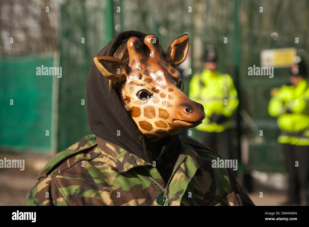 Polizisten in Manchester, Barton Moss, UK. 27. Februar, 2014. Demonstrant tragen giraffe Tier Kopf Maske als Proteste an IGAS Bohren Seite fortzusetzen. Greater Manchester Polizeioperation bei Barton Moss, als die Demonstranten versuchen zu verzögern und behindern Lieferfahrzeuge und Bohrtechnik en-Route zu den umstrittenen Gas Exploration site. Fracking Demonstranten haben ein Camp am Barton Moss Road, Eccles eine potenzielle Methan - Gasförderung in Salford, Greater Manchester. Stockfoto