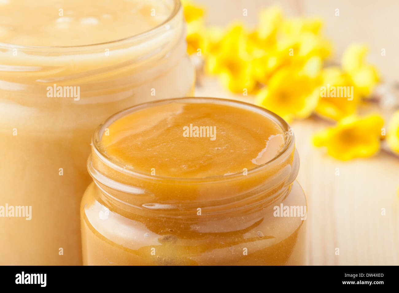 Gläser von Honig und gelbe Blüte Zweig Stockfoto