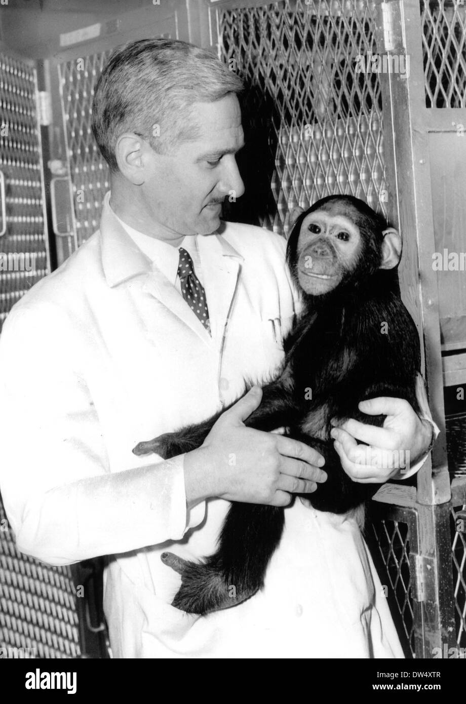 ALBERT SABIN (1906-1993) polnisch-amerikanischer Mediziner, die eine Schluckimpfung Vacine entwickelt Stockfoto