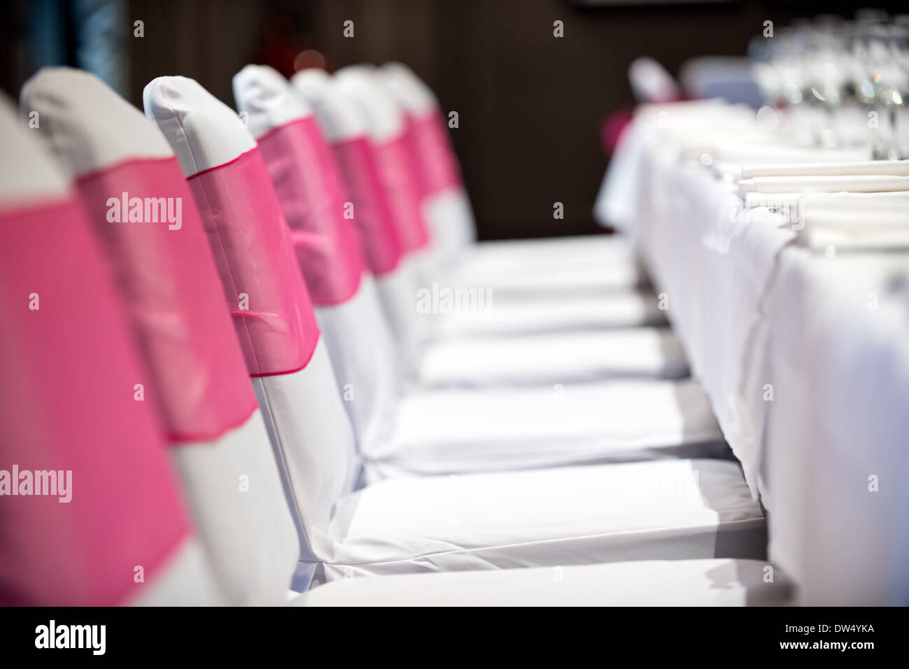 Ein flacher Fokus Bild von einem Bankett Tische Maßgedecke & rosa Schleife gehüllt Plätze warten auf die Ankunft der Hochzeitsgäste Stockfoto