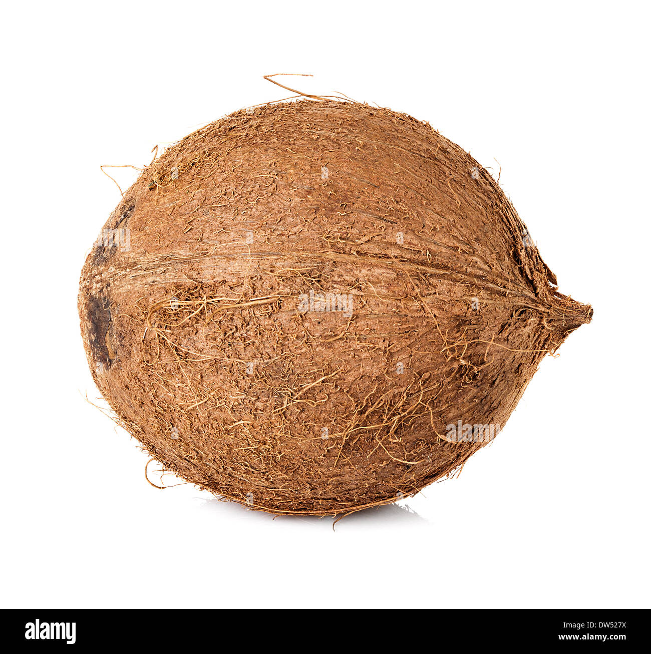 Kokosnuss isoliert auf weißem Hintergrund Stockfoto
