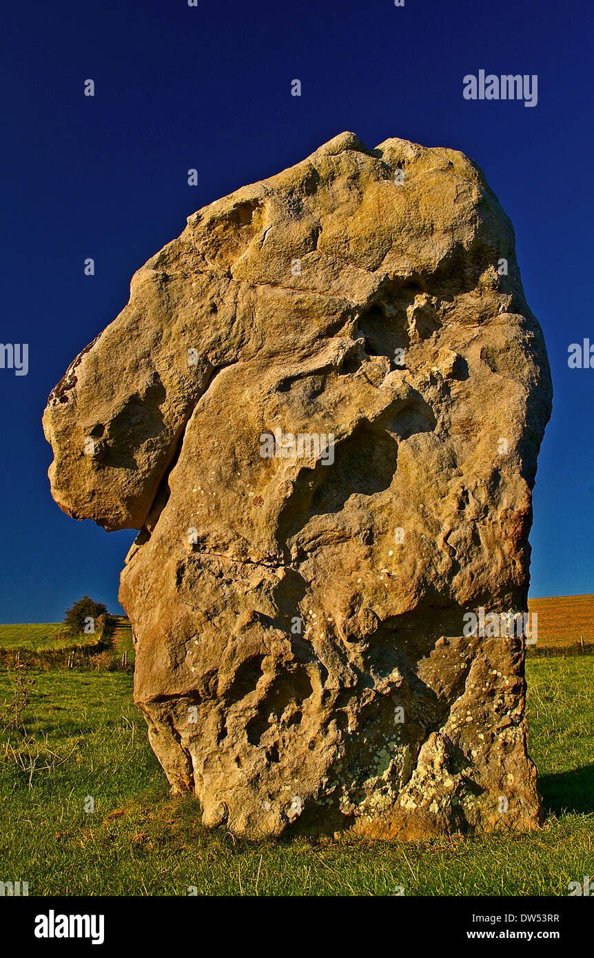 Standing Stones in der Allee in Avebury, Wiltshire. Diesen Steinen verwendet, um den Hauptkorridor zu den alten Steinkreis zu bilden. Stockfoto