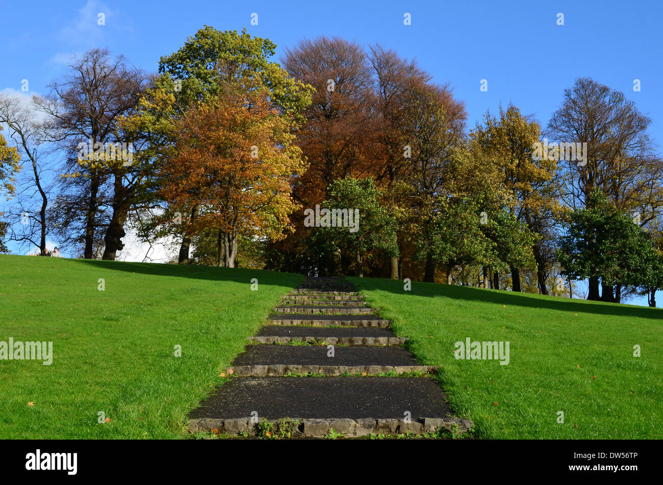 Schritte in Dalmuir Park, Clydebank die Bäume im Vorfeld Stockfoto