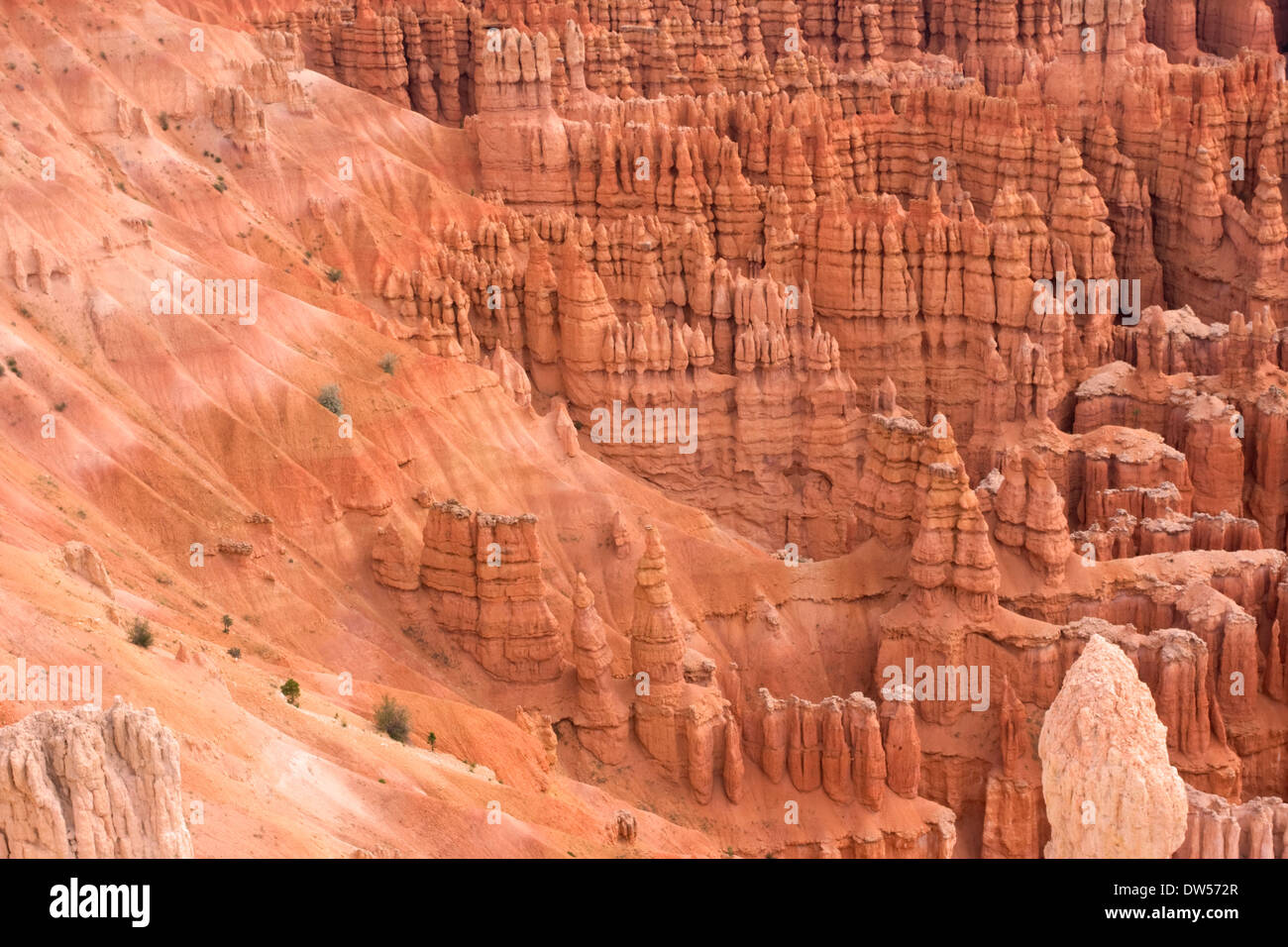 Bryce Canyon, Utah Stockfoto