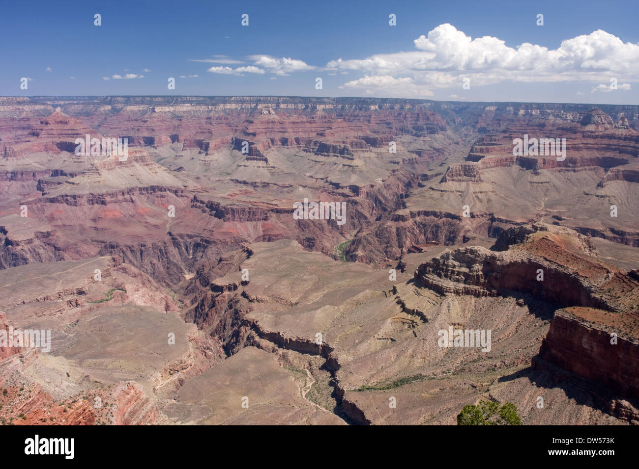 Grand Canyon in Arizona, South Rim, USA Stockfoto