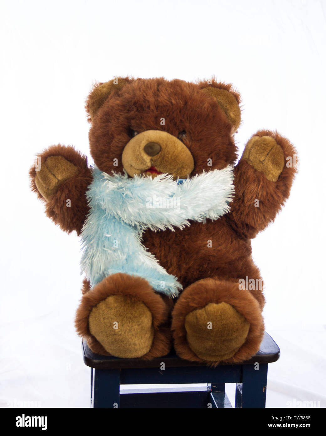 niedlicher Bär Braunbär Dress mit einem blauen fuzzy Schal spielen oder dressing warm für einen kühlen Tag. Stockfoto