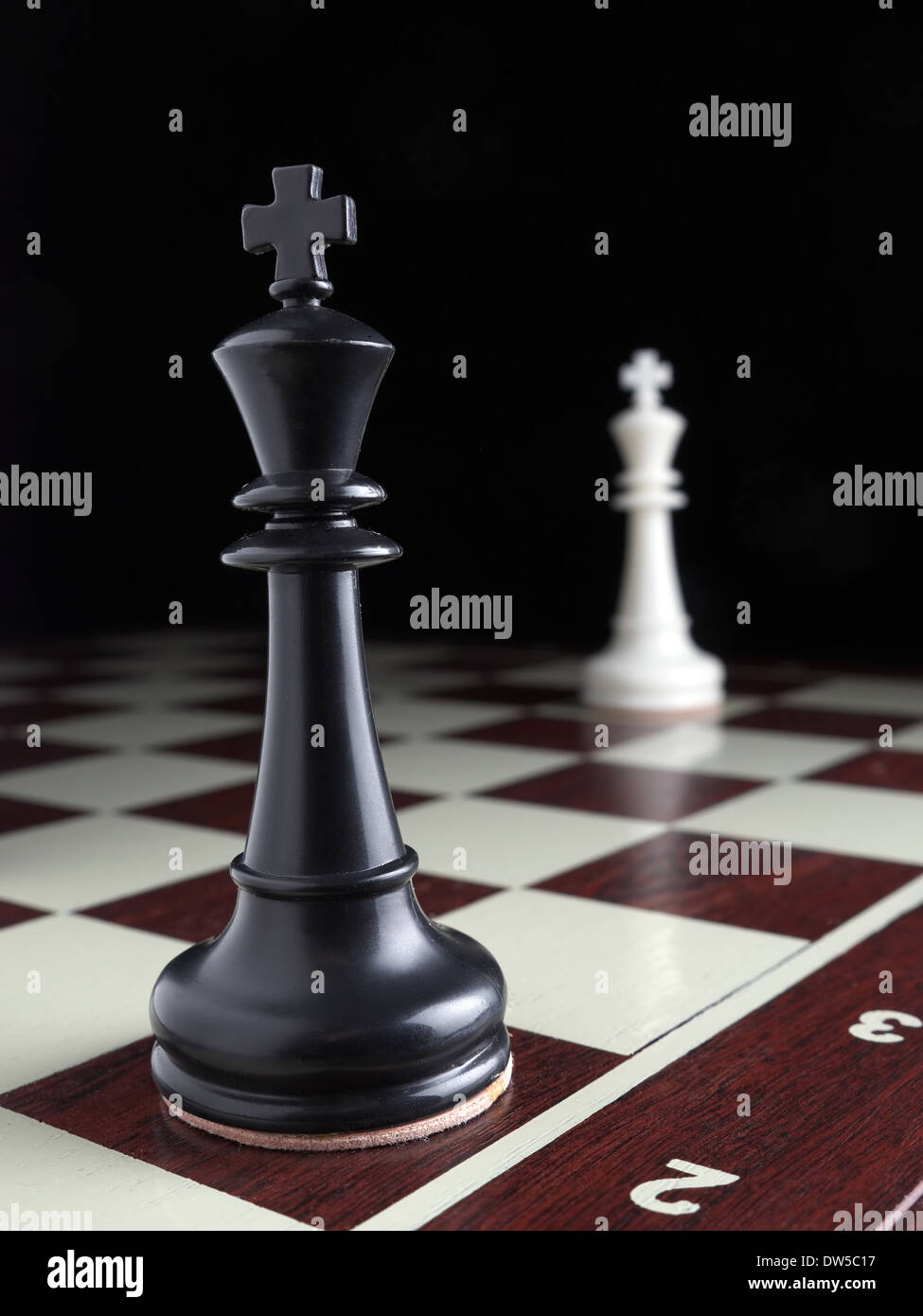 Schwarz / weiß Könige stehen auf den gegenüberliegenden Seiten auf dem Schachbrett Stockfoto