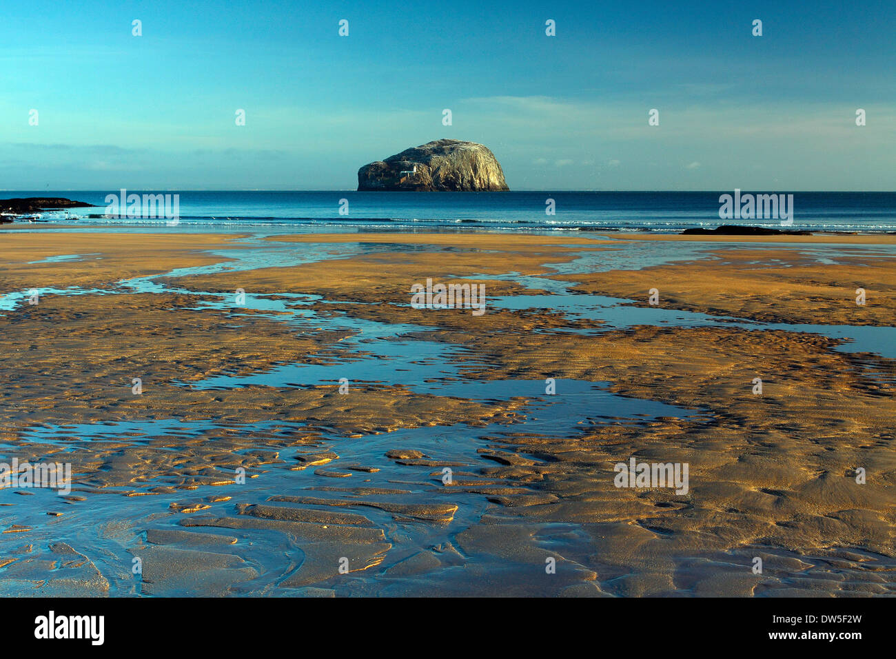 Bass Rock von Seacliff in der Nähe von North Berwick an der Küste von East Lothian, Schottland Stockfoto