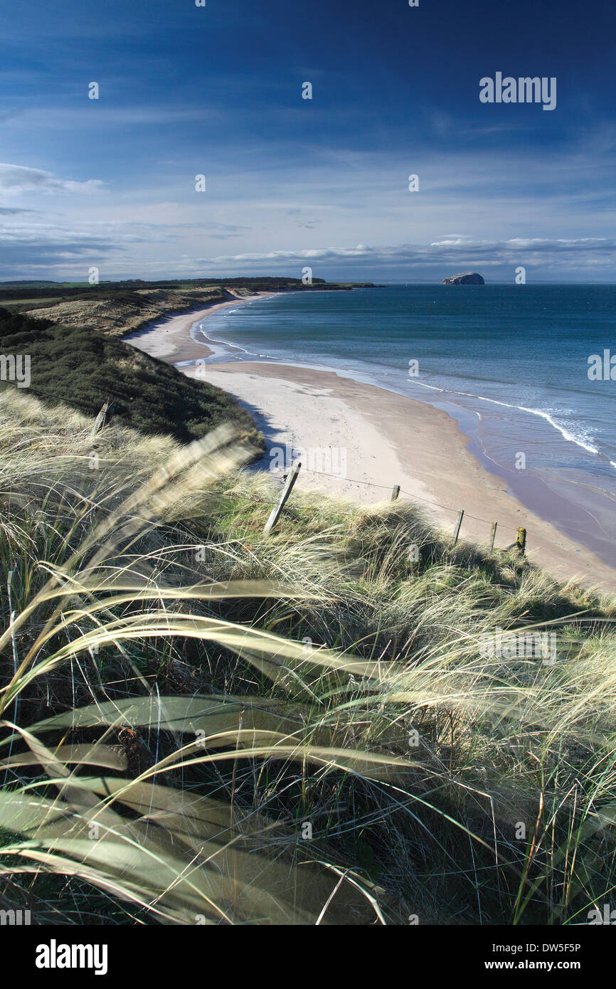 Bass Rock aus Ravensheigh Sand an der East Lothian Küste, Schottland Stockfoto