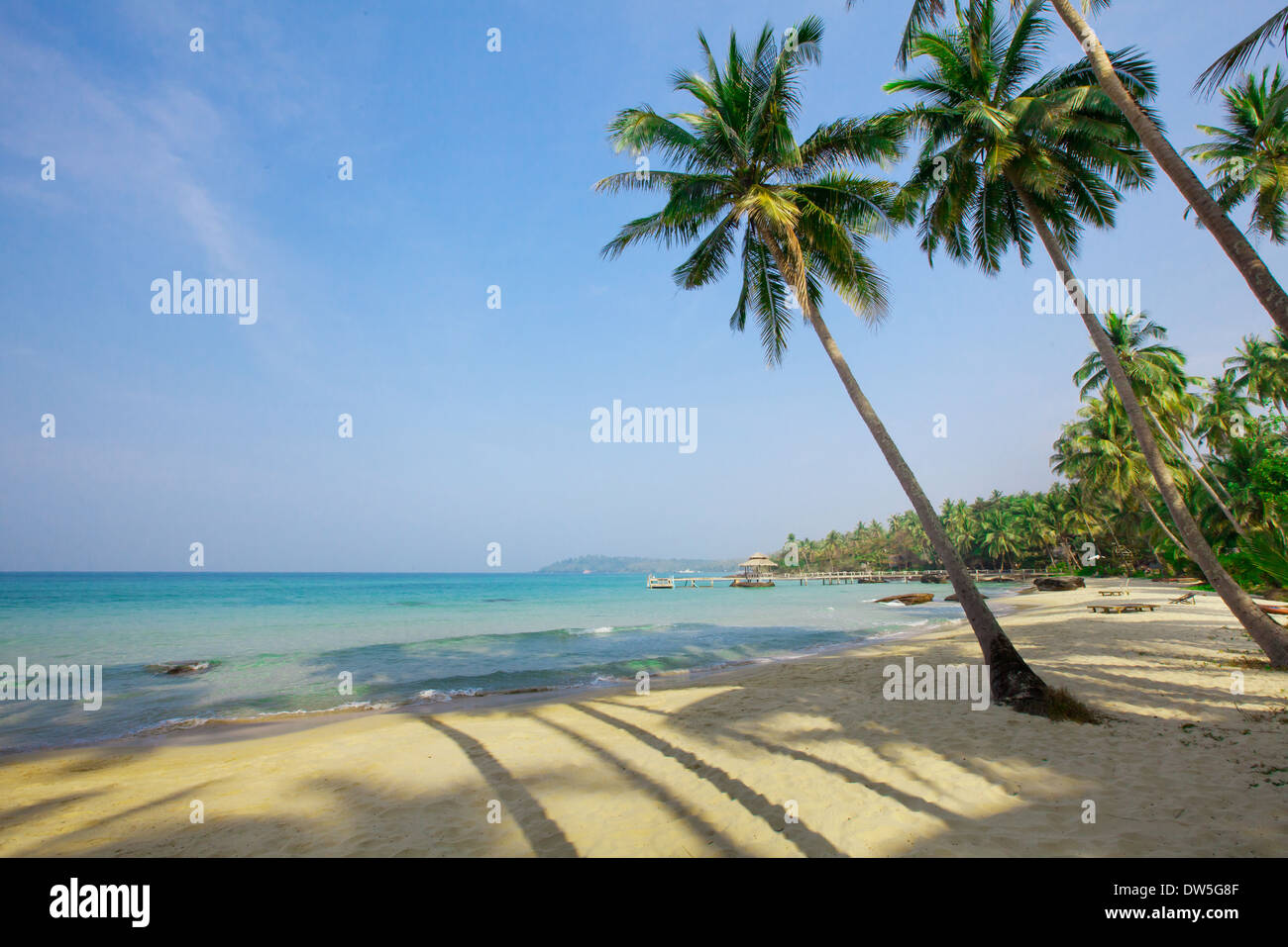 Palmen auf tropisches Paradiesstrand Stockfoto