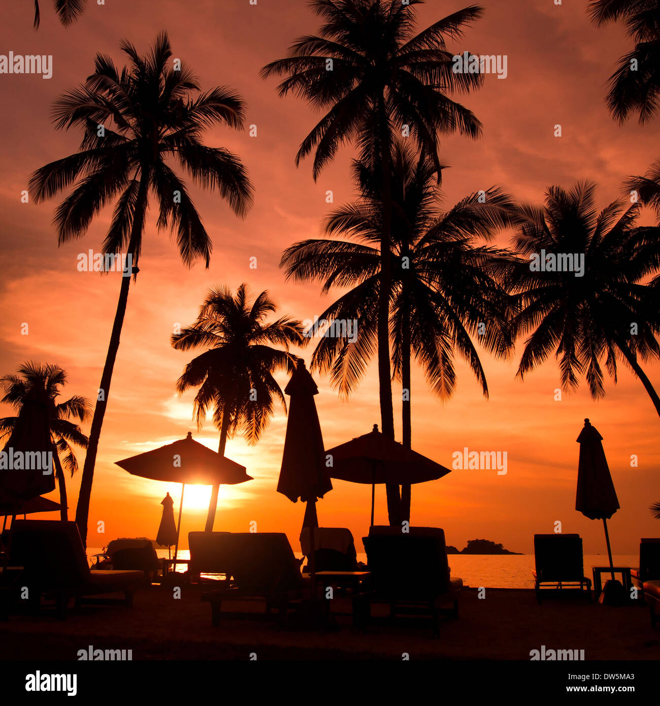 schöner Strand-Resort mit Palmen bei Sonnenuntergang Stockfoto