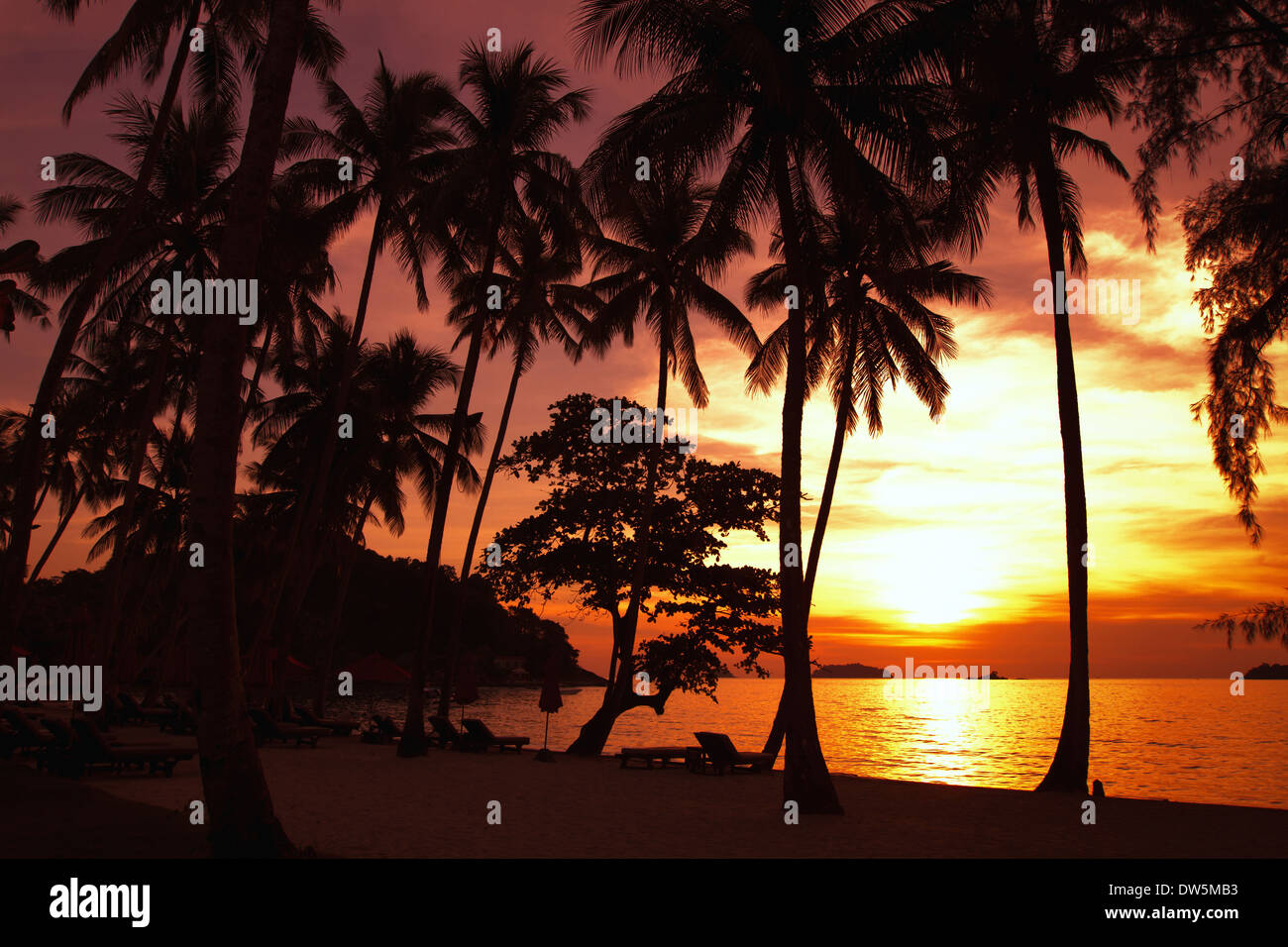 Silhouetten von Palmen am Strand bei Sonnenuntergang Stockfoto