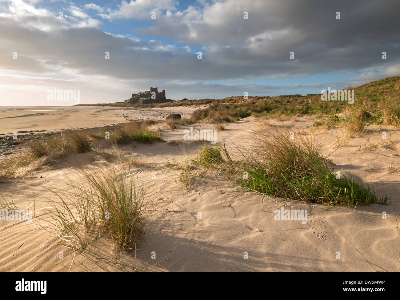 Sanddünen über Bamburgh Strand mit Bamburgh Castle in Northumberland, England Hintergrund. Stockfoto