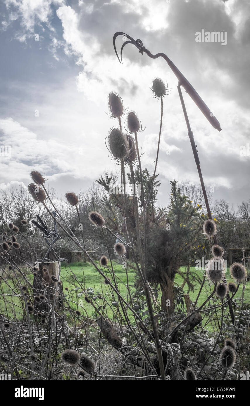 Szene von twigworth Halle in Gloucestershire, herrlichem Garten Vogel Skulptur gegen stürmischen Himmel mit teasels Silhouette Stockfoto