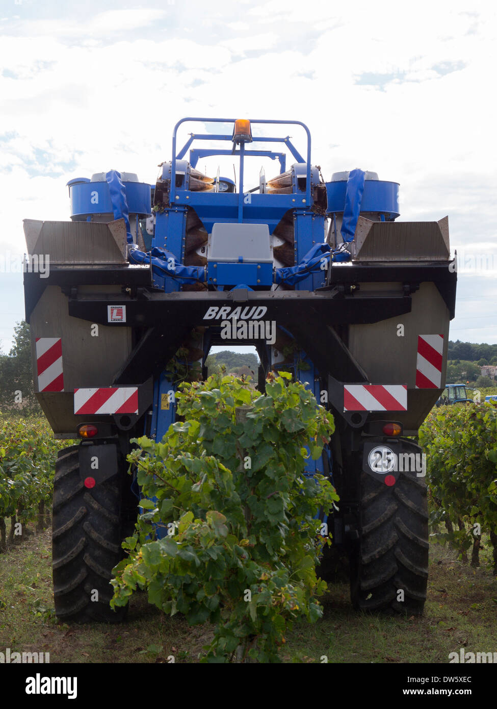 Ein Weinlese-Maschine bei der Arbeit in einem Weingut im Languedoc, Frace Stockfoto