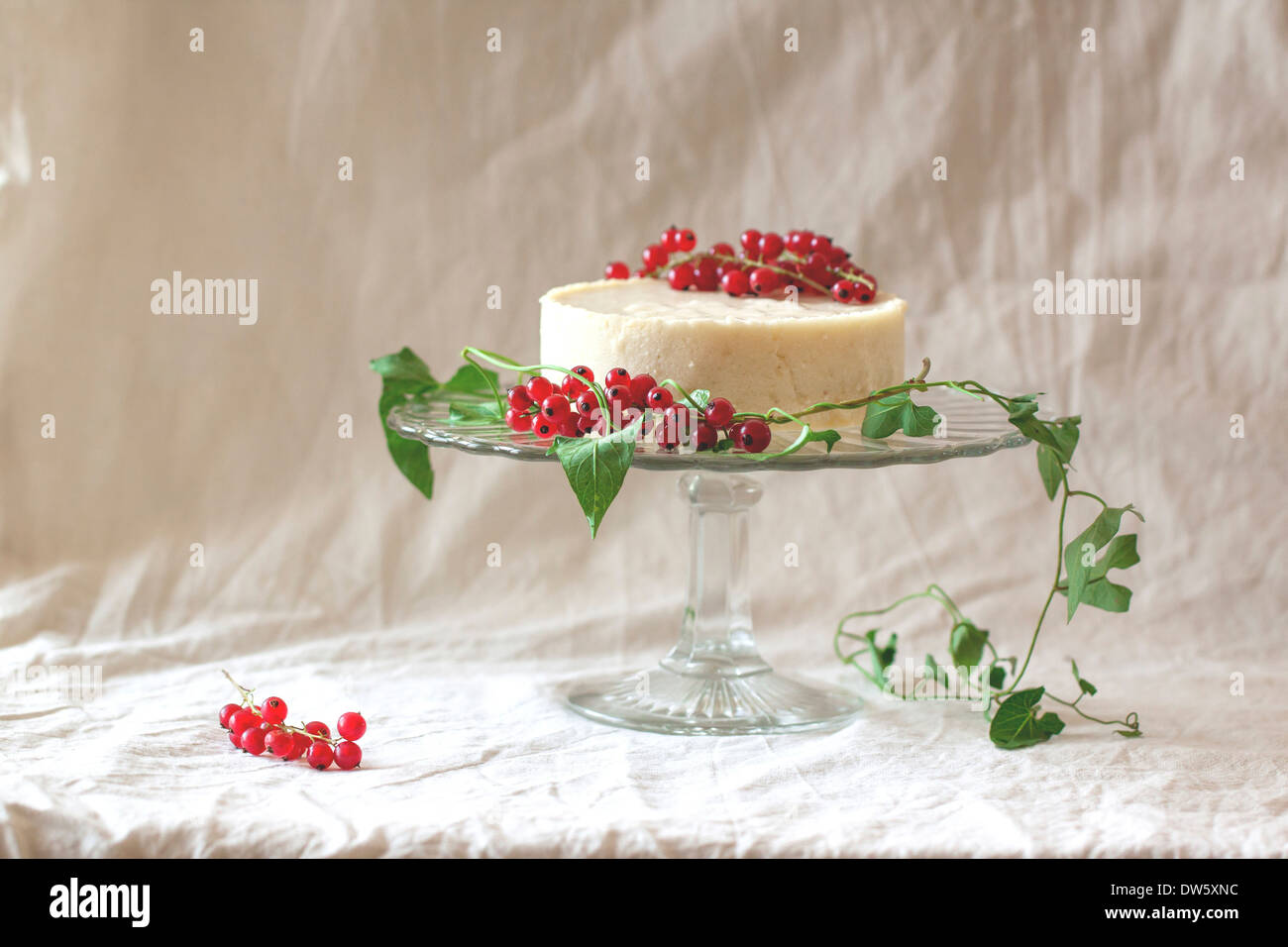 Weiße Mousse Torte mit Johannisbeeren auf einer Glasplatte auf dem weißen Tuch Stockfoto