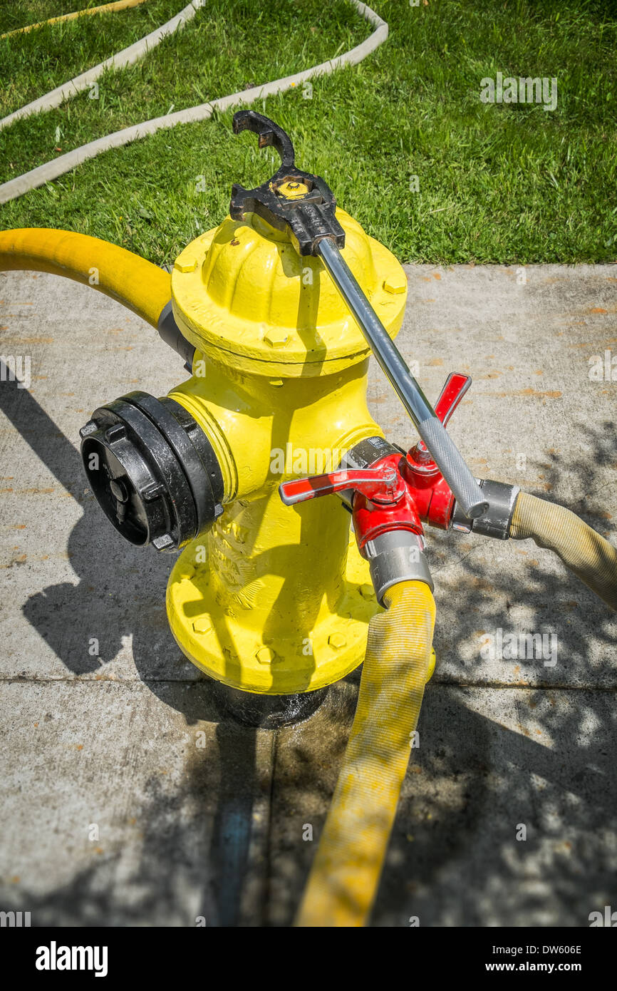 Gelbe Hydranten mit Schläuchen angeschlossen Stockfoto