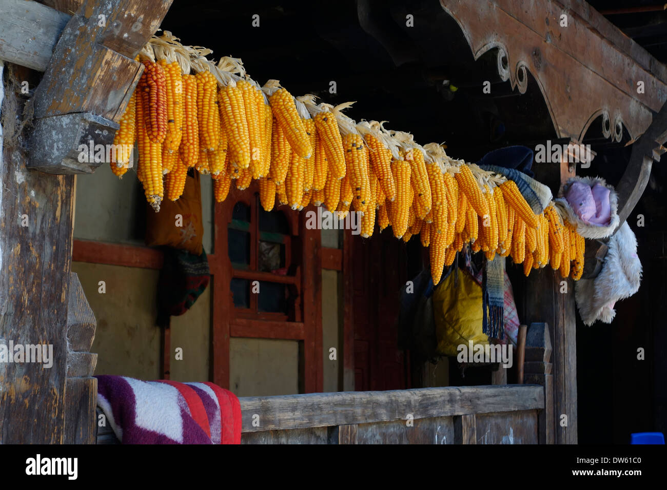 Mais, Heilung auf einer Veranda eines Hauses im Dorf von Bagarchap, Nepal. Stockfoto