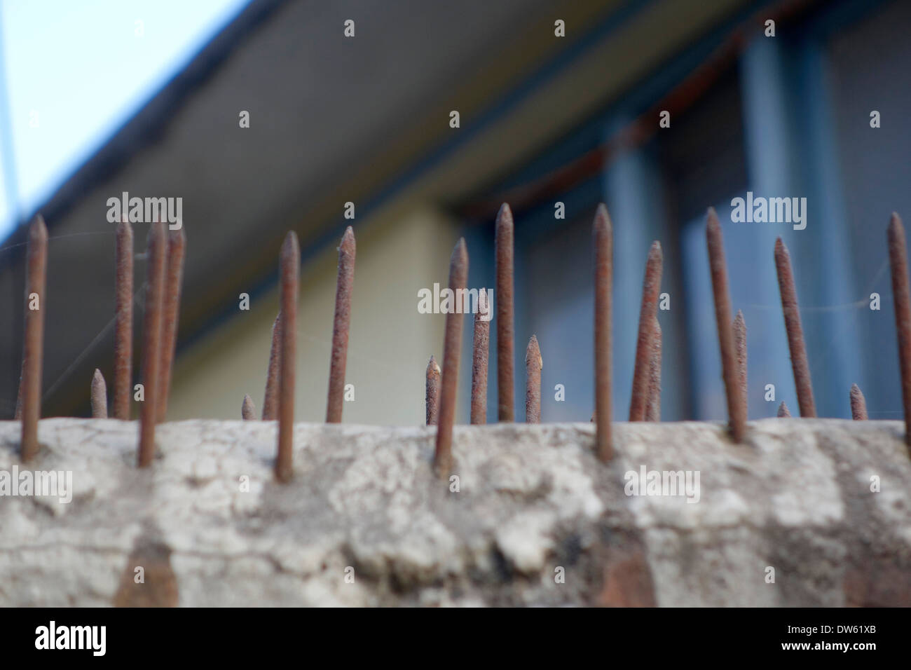 Nägel auf einer Wand für Sicherheit in Kathmandu, Nepal. Stockfoto