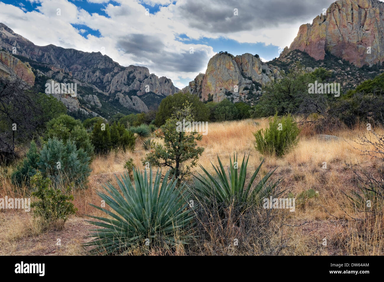 Chiricahua Bergen, Portal, Arizona Stockfoto