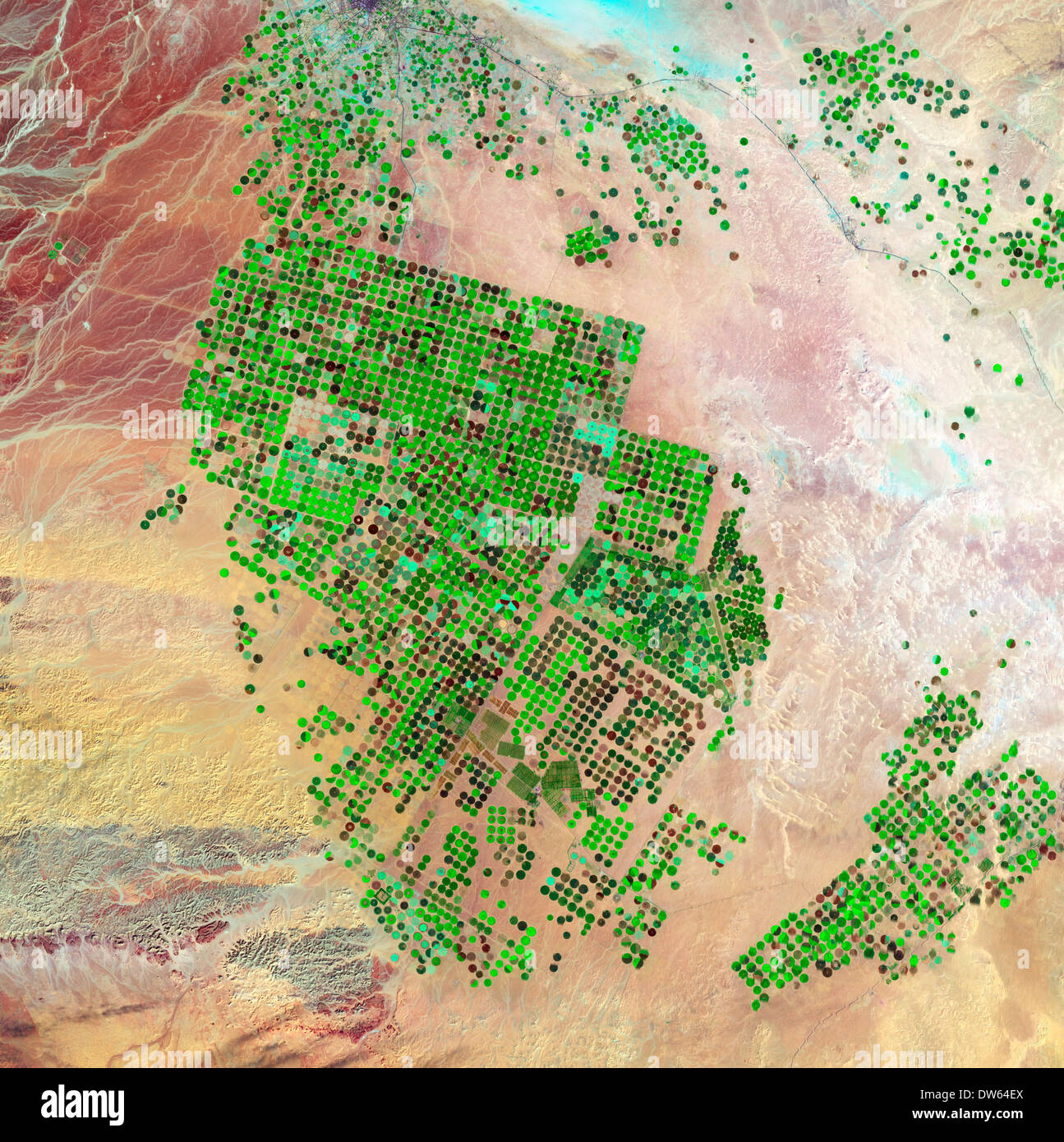 Bewässerung in der Saudi-arabischen Wüste wie vom Weltraum aus gesehen Stockfoto