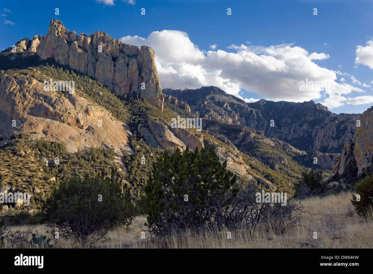 Chiricahua Bergen, Portal, Arizona Stockfoto