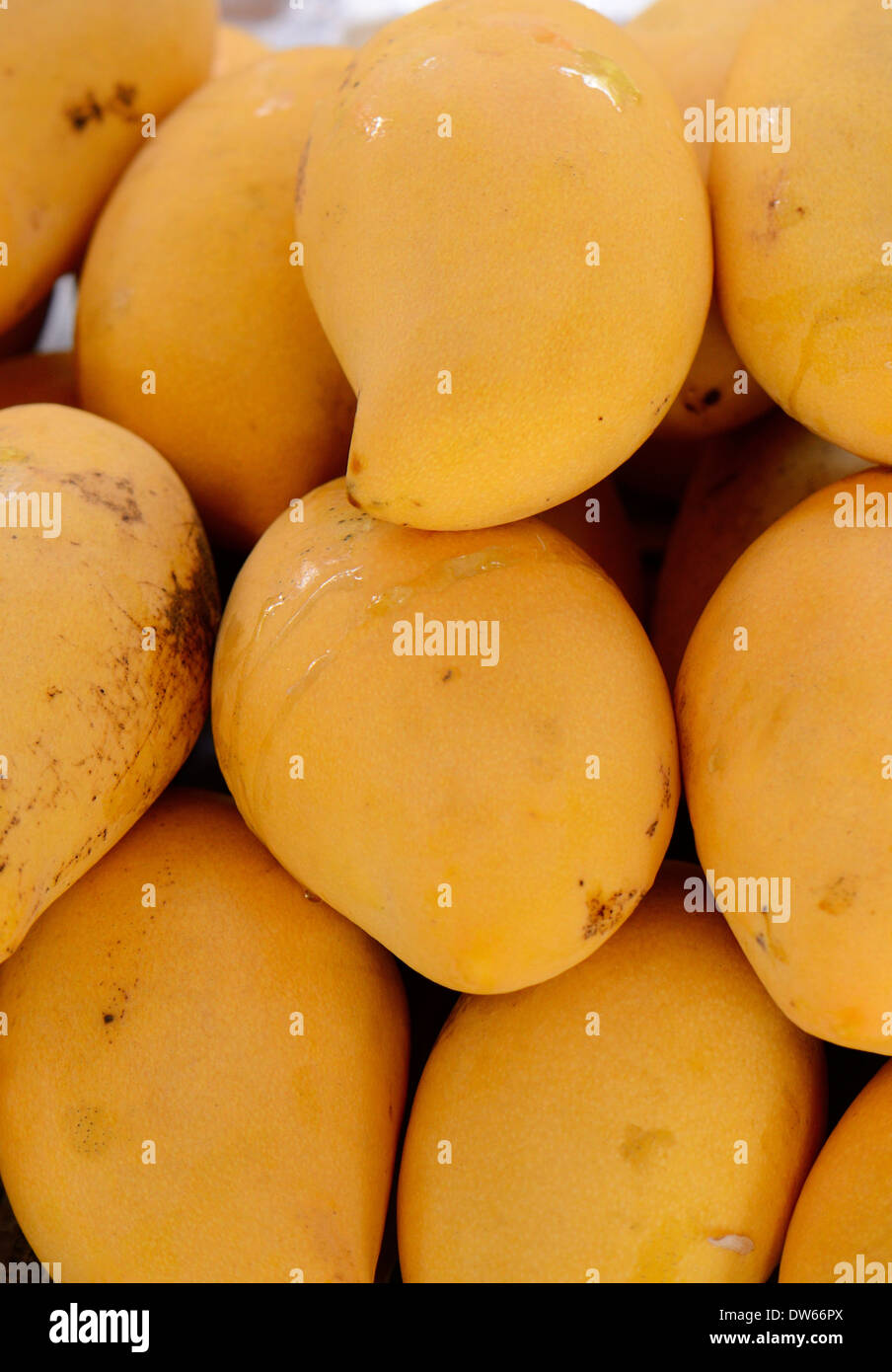 schöne Gruppe von Mango-Frucht am thailändischen Markt Stockfoto