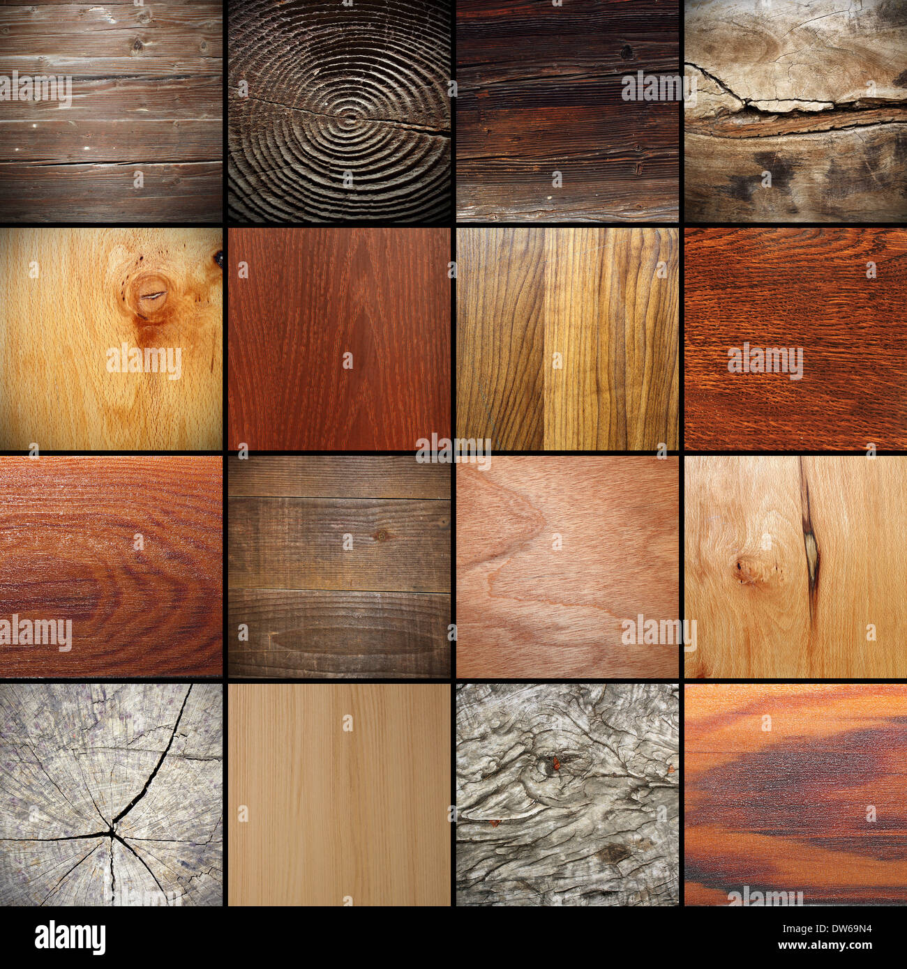 große Sammlung von wirklich schönen Holz Texturen Stockfoto
