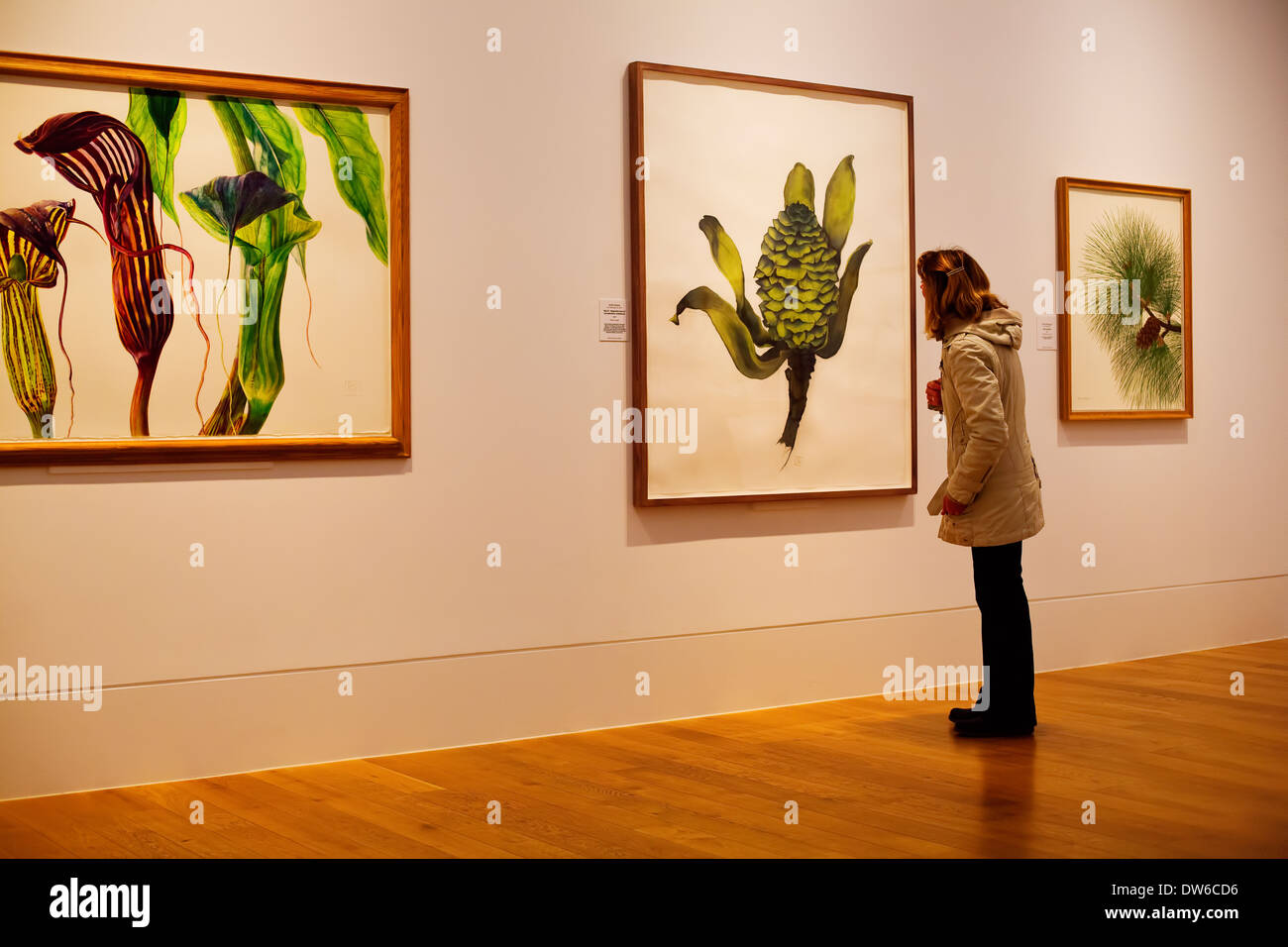 Blick auf botanische Kunst Stockfoto