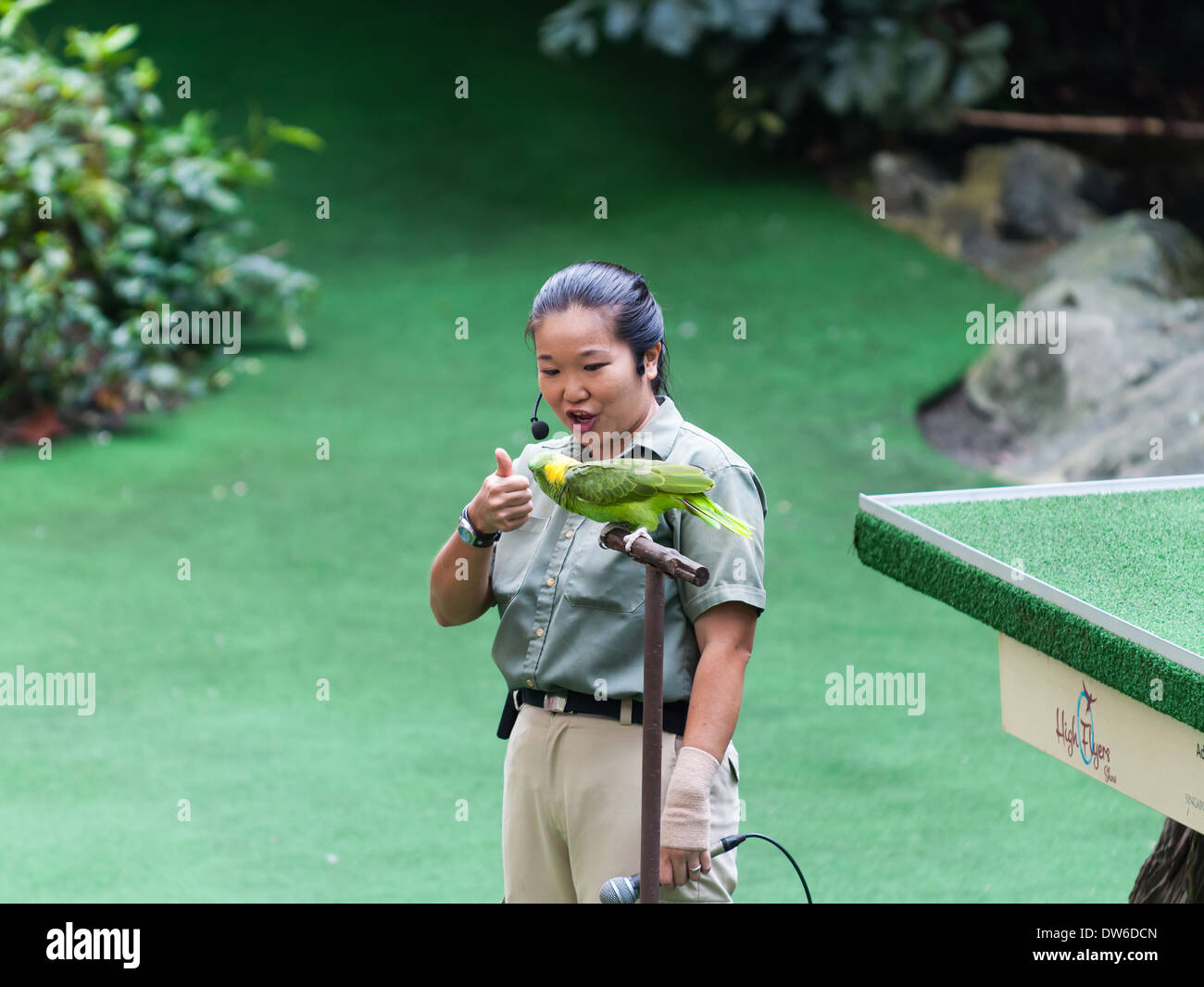 Vogelschau im Zoo von Singapur. Stockfoto
