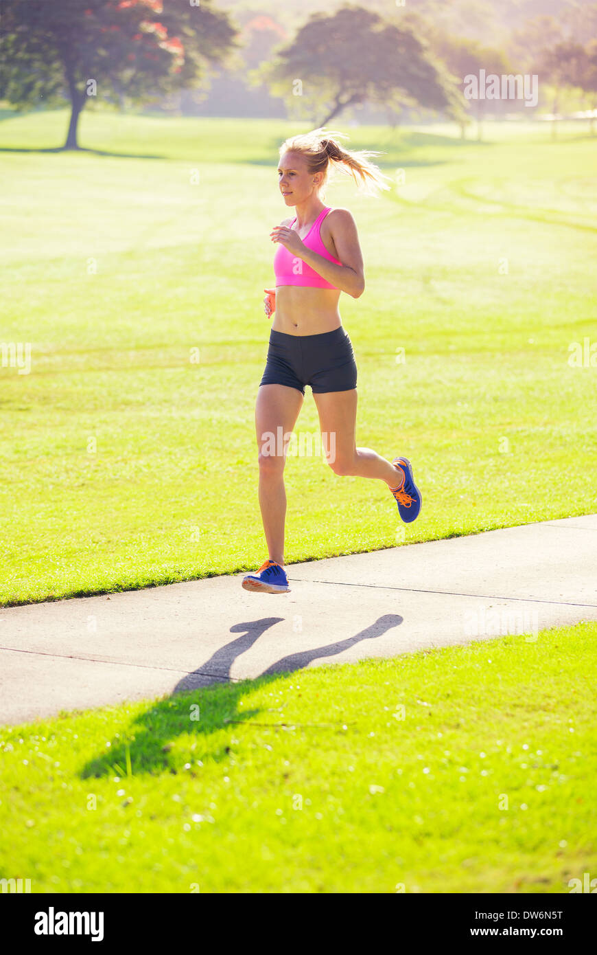 Sportliche Frau läuft im Park am frühen Morgen Stockfoto