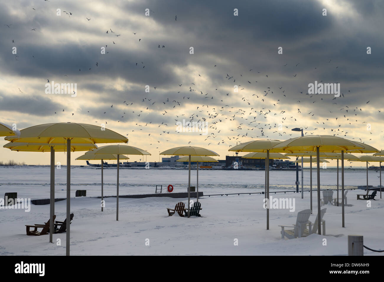 Herde von Möwen auf Schnee bedeckt Harbourfront HTO Urban Park Strand mit gelben Sonnenschirmen und Muskoka Stühle mit Winter und Toronto Island Airport Stockfoto