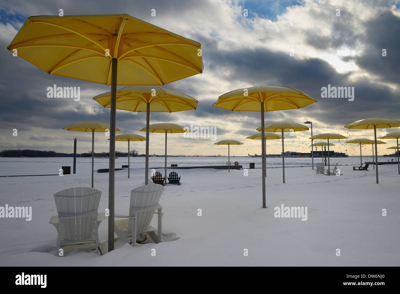 Schneebedeckte Harbourfront HTO Urban Park Strand mit gelben Sonnenschirmen und Muskoka Stühle mit Winter und Toronto Island Airport Stockfoto