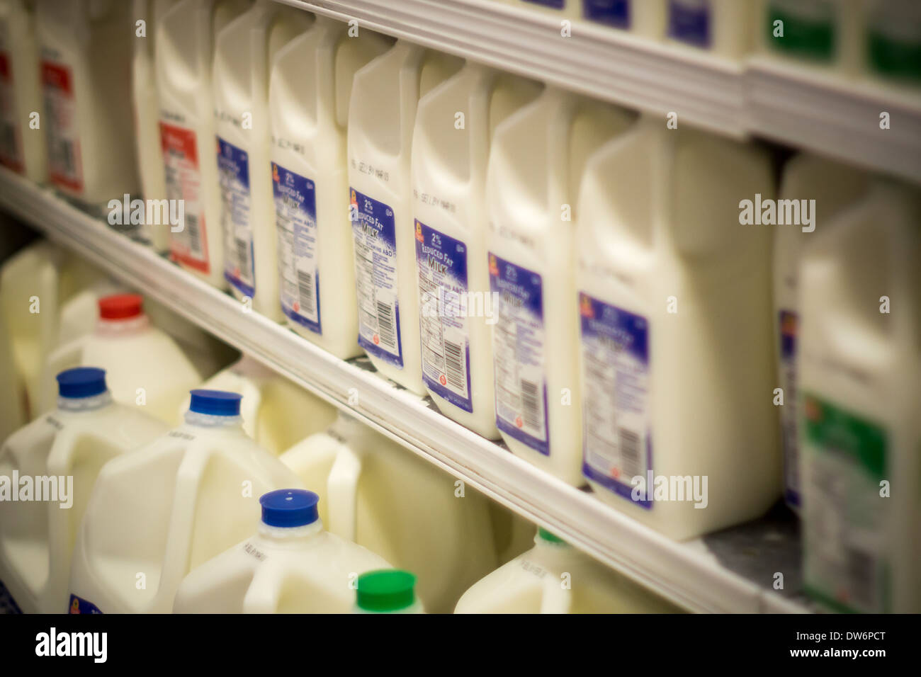 Behälter mit Milch sind in einem Supermarkt in New York gesehen. Stockfoto