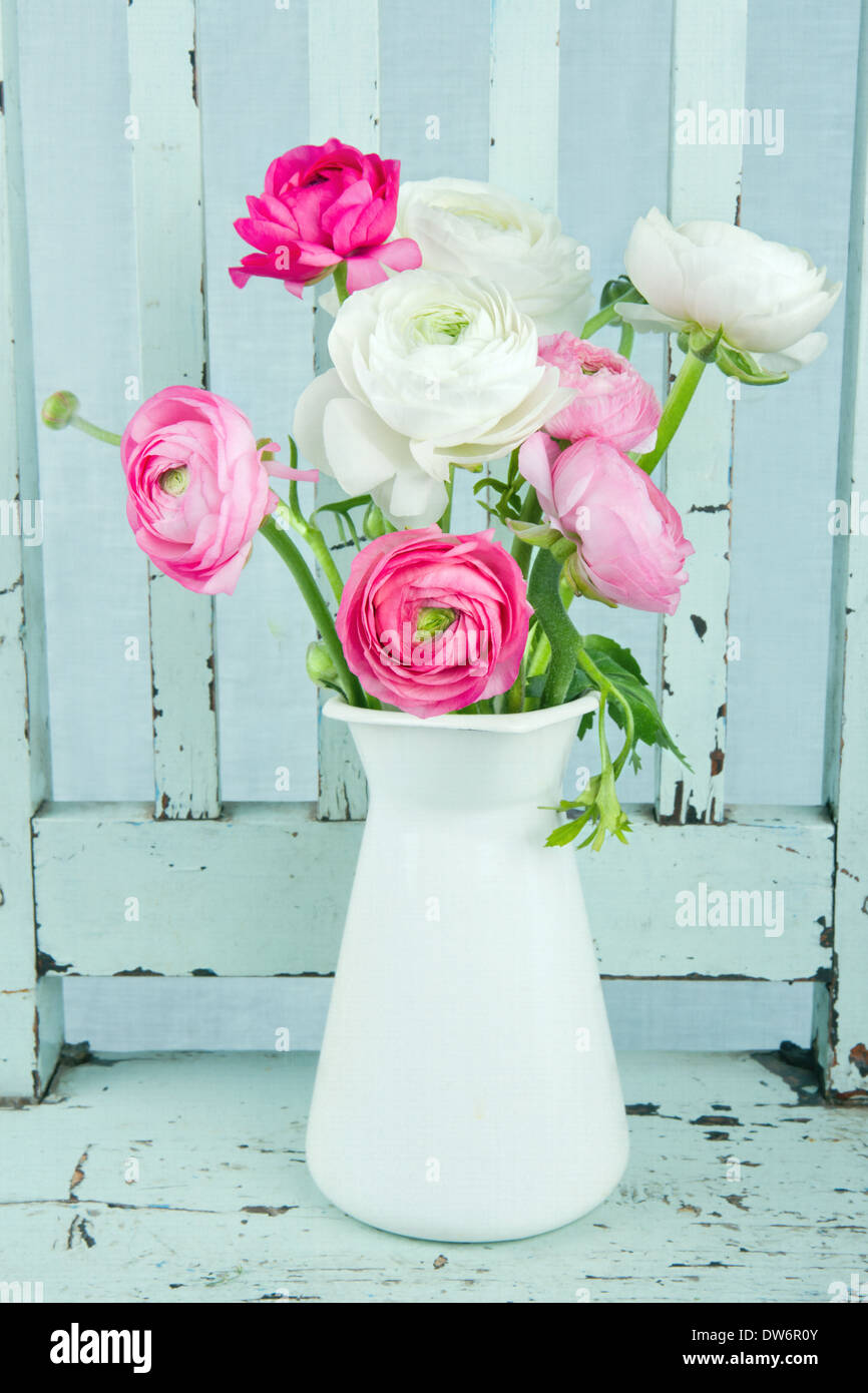 Weiß-rosa Ranunkeln Blumen auf leichten blauen Vintage Sessel Stockfoto