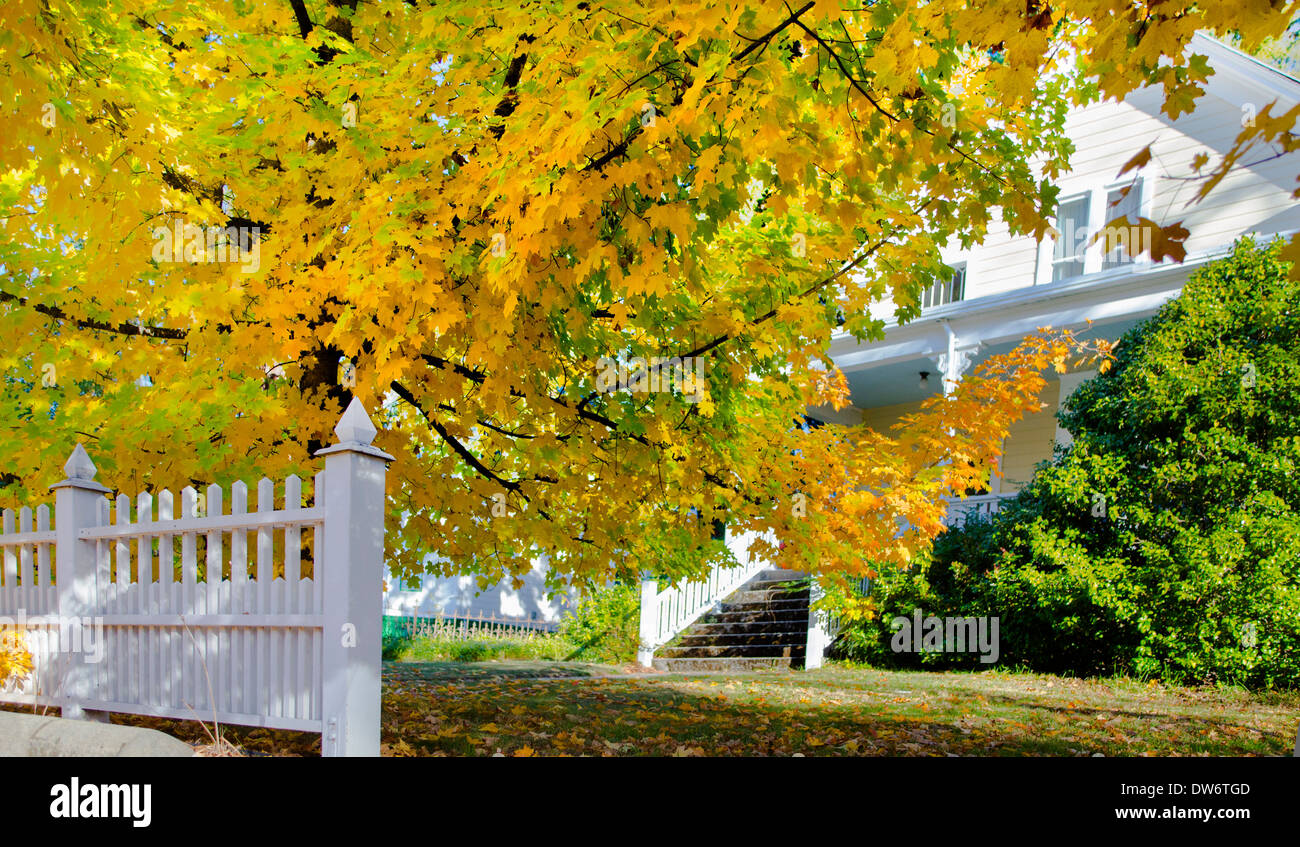 Farben des Herbstes in Nevada City, Kalifornien. Stockfoto