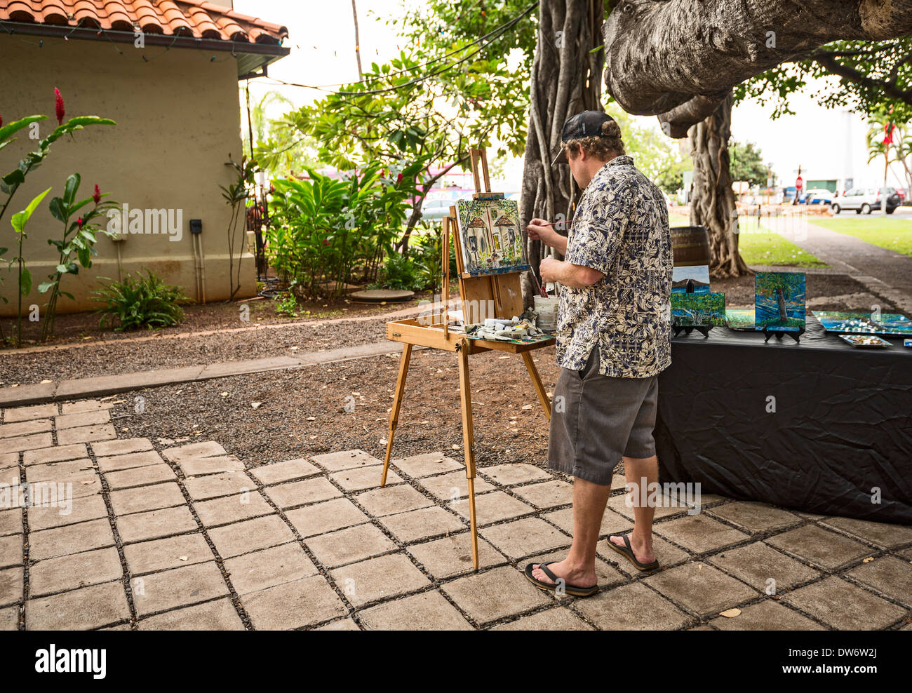 Banyan Tree Park auf Maui, Hawaii. Stockfoto