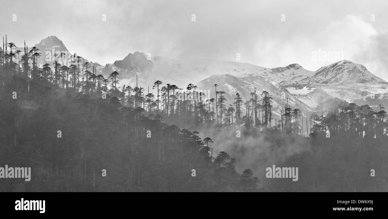 Himalaya-Landschaft rund um das Dorf von Merak auf Merak Sakteng trek, Ost Bhutan Stockfoto