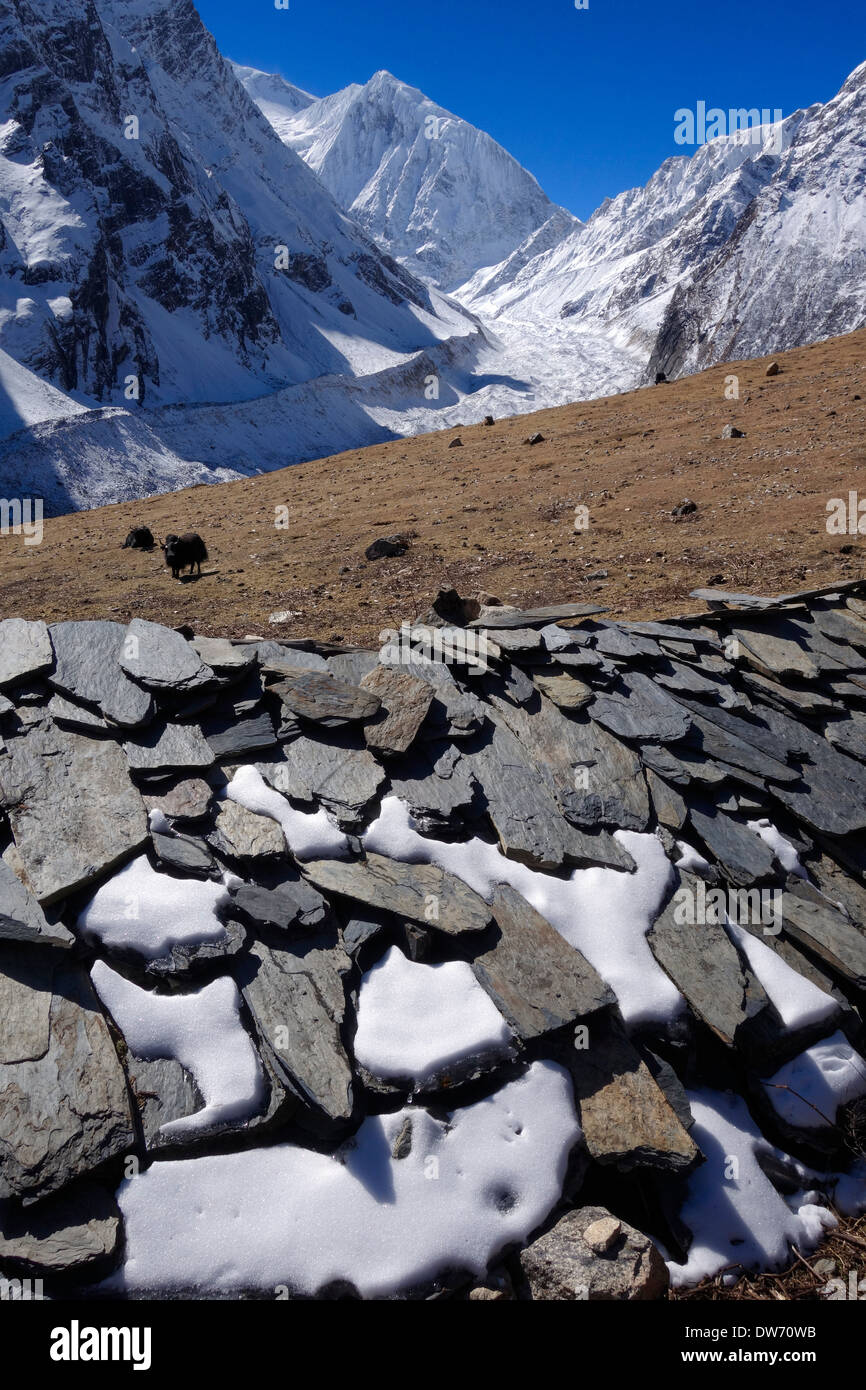 Yaks und Yak Herder Hütten unter Manaslu North Peak, Himalaya-Palette, Nepal. Stockfoto