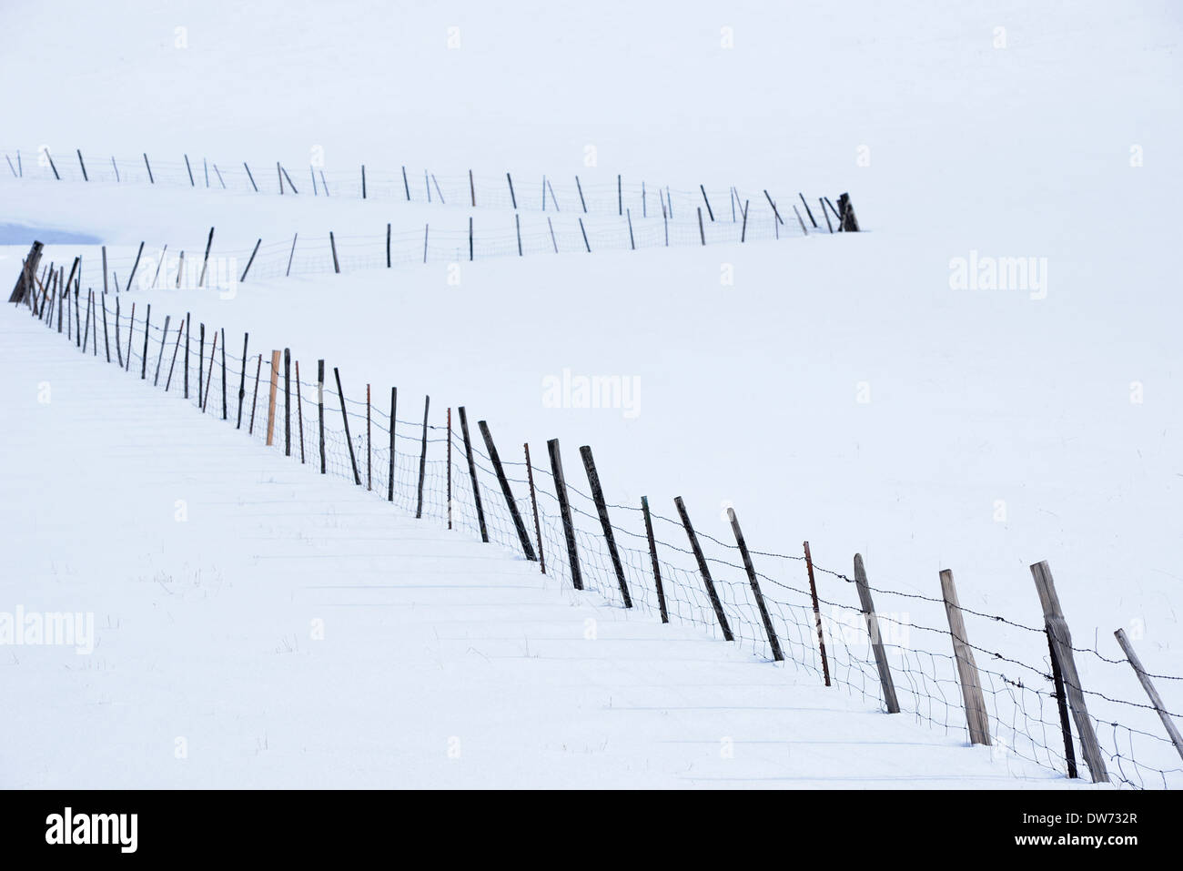 Zaunlinie auf Oregons Zumwalt Prairie. Stockfoto